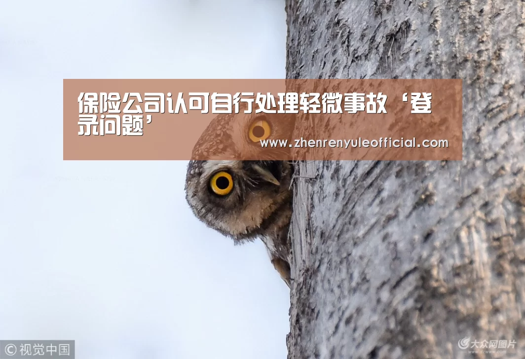 注册教程