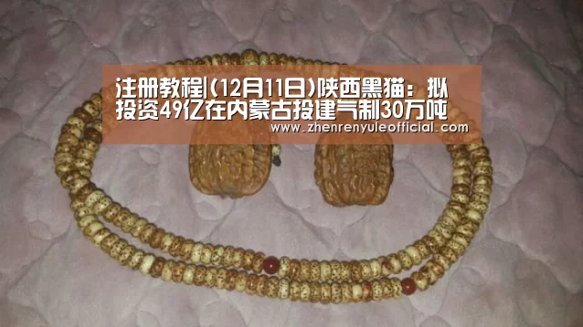 注册教程