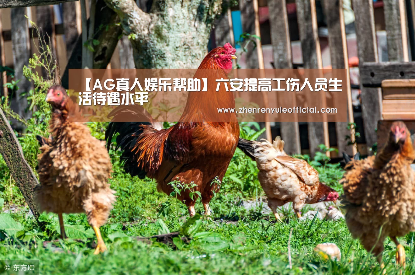 AG真人娱乐帮助