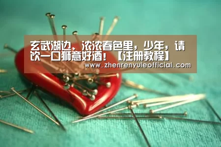 游戏玩法