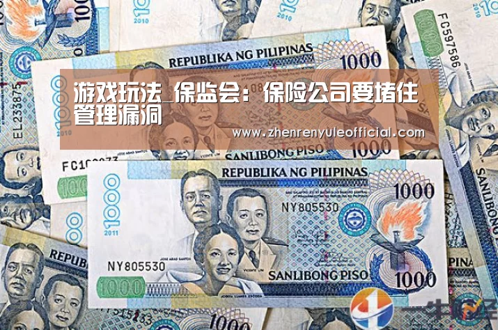 游戏玩法_保监会:保险公司要堵住管理漏洞(图1) 游戏玩法