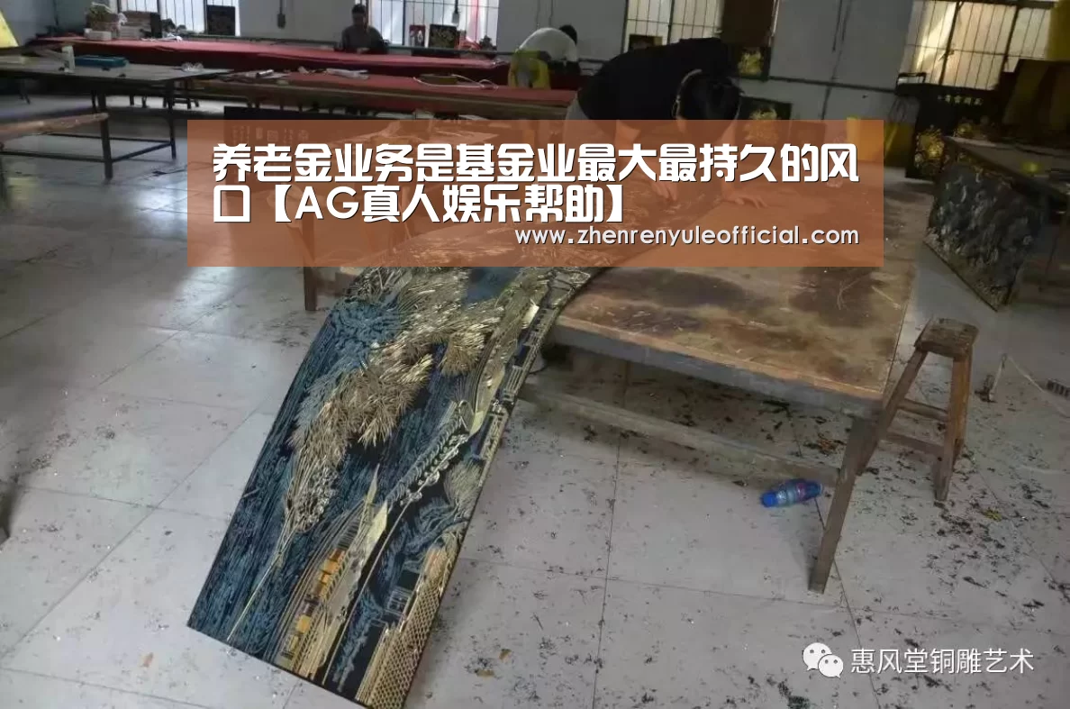 养老金业务是基金业最大最持久的风口【AG真人娱乐帮助】(图3) 游戏玩法