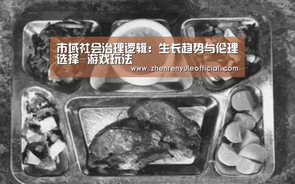 市域社会治理逻辑:生长趋势与伦理选择-游戏玩法(图3) 登录问题