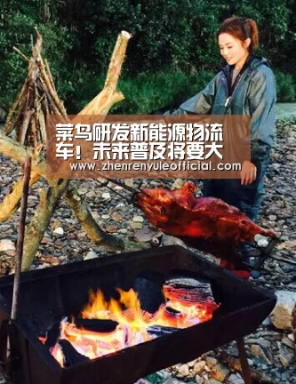 菜鸟研发新能源物流车!未来普及将要大提速?【登录问题】(图2) AG真人娱乐帮助