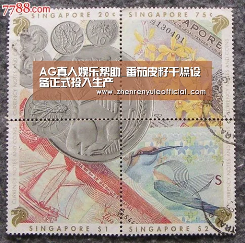 AG真人娱乐帮助_番茄皮籽干燥设备正式投入生产(图2) 登录问题