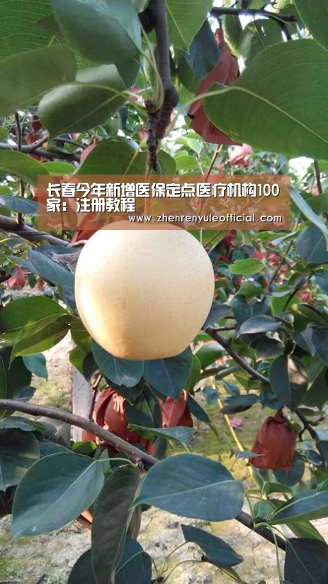 长春今年新增医保定点医疗机构100家:注册教程(图1) 登录问题