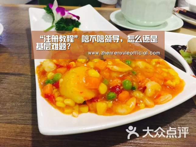 “注册教程”陪不陪领导,怎么还是基层难题?(图2) 登录问题