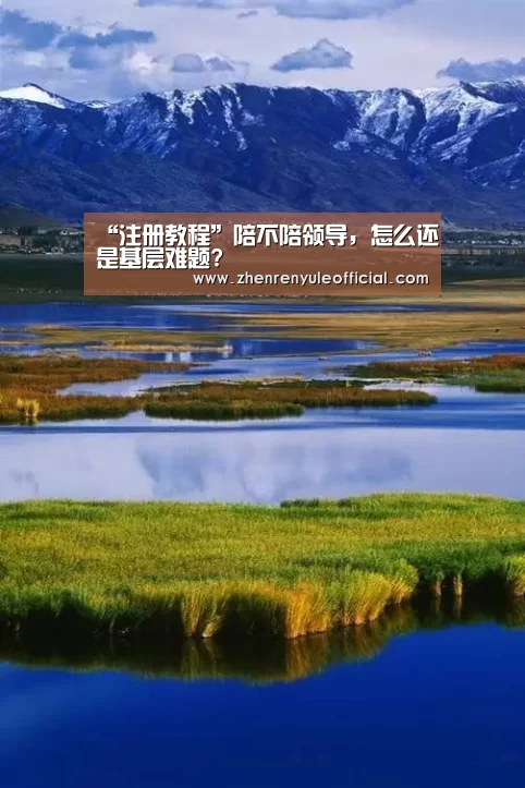“注册教程”陪不陪领导,怎么还是基层难题?(图4) 游戏玩法