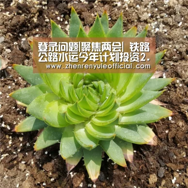 登录问题|聚焦两会| 铁路公路水运今年计划投资2.6万亿元(图1) AG真人娱乐帮助
