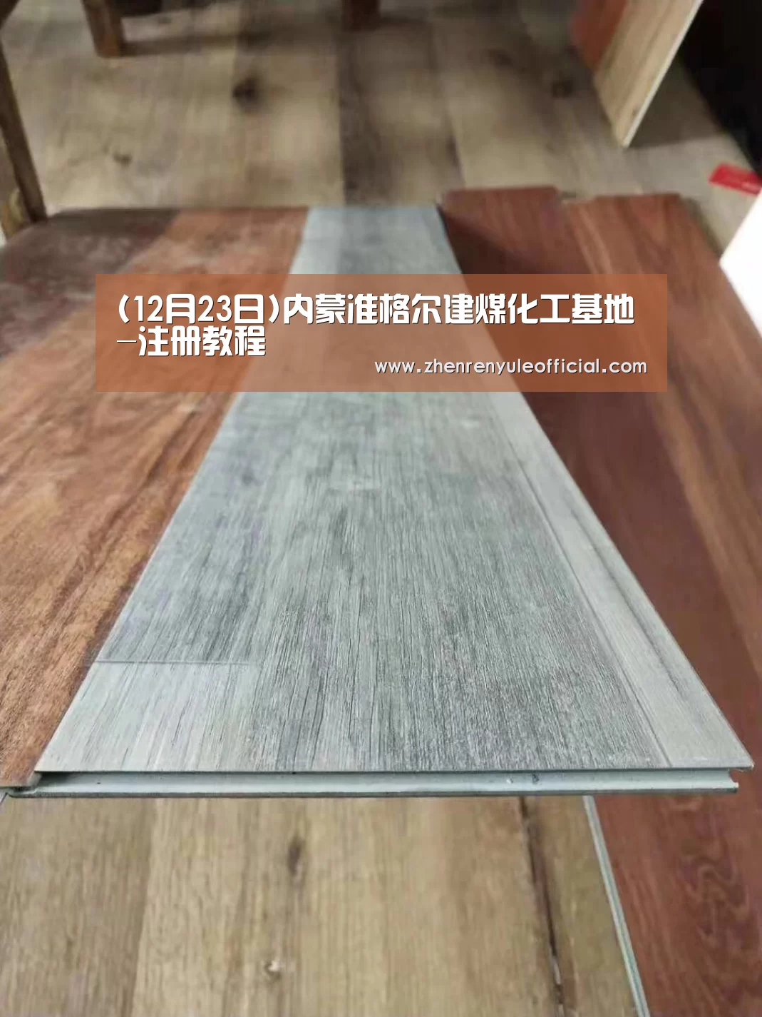 (12月23日)内蒙准格尔建煤化工基地-注册教程(图2) 注册教程